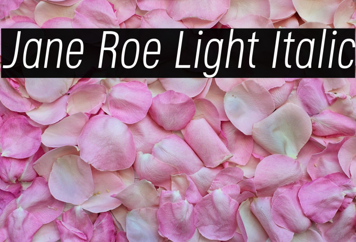 Jane Roe Light Italic Example 2