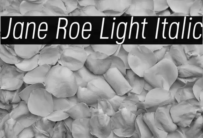 Jane Roe Light Italic Font examples