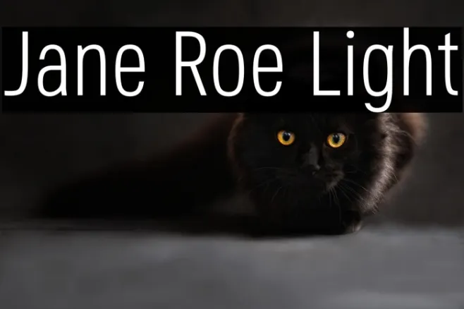 Jane Roe Light Example 2
