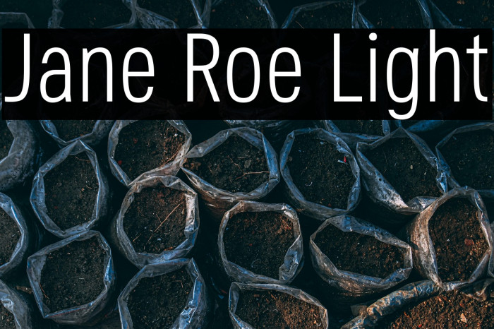Jane Roe Light Example 3
