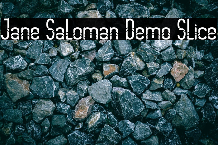 Jane Saloman Demo Slice Example 1
