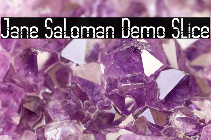 Jane Saloman Demo Slice Example 2