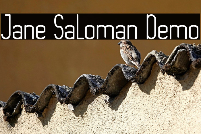 Jane Saloman Demo Example 2