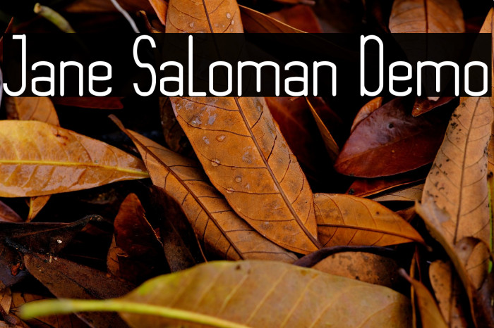 Jane Saloman Demo Example 3