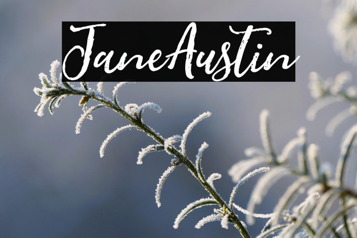 JaneAustin Example 2