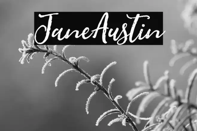 JaneAustin Caratteri examples