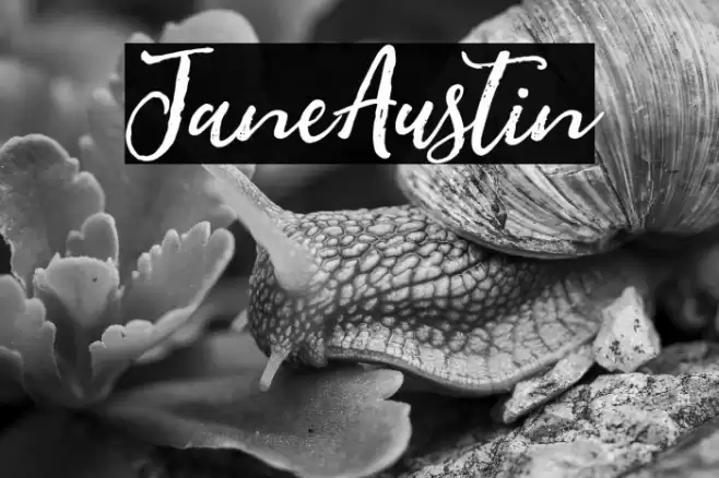 JaneAustin Caratteri examples
