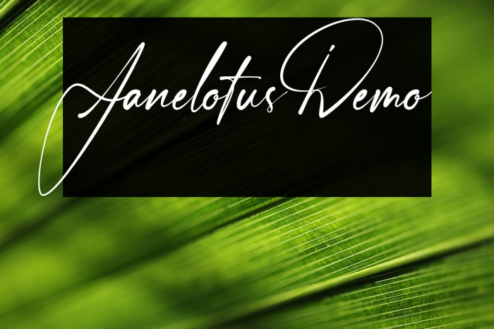 Janelotus-Demo Example 1