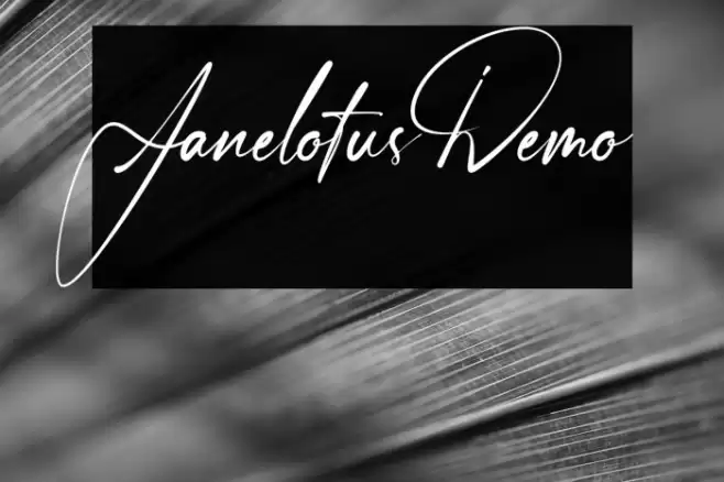 Janelotus-Demo Шрифта examples