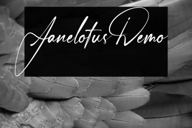 Janelotus-Demo Шрифта examples