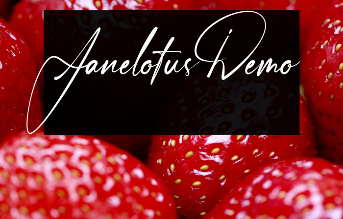 Janelotus-Demo Example 3