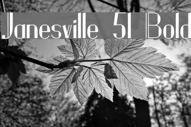 Janesville 51 Bold Font examples