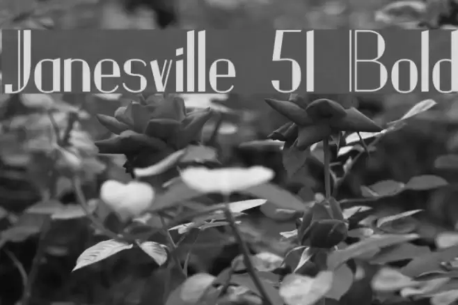 Janesville 51 Bold Font examples