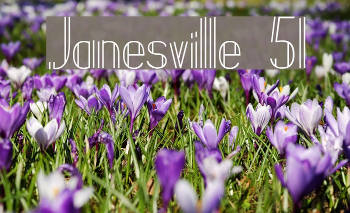 Janesville 51 Font examples