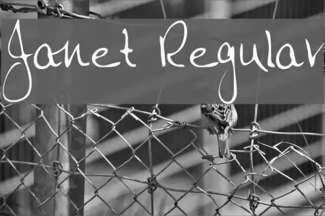 Janet Regular Font examples