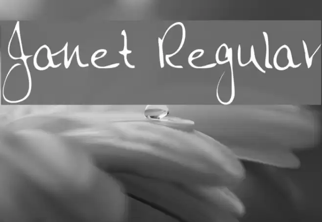 Janet Regular Font examples