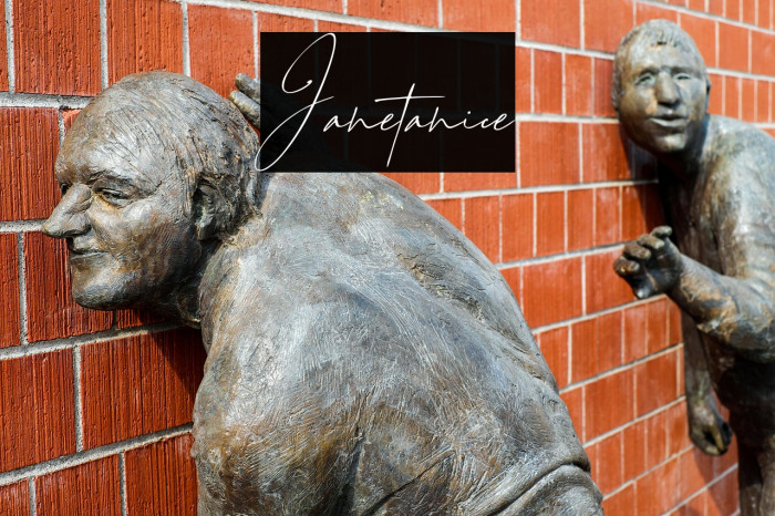 Janetanice Example 1