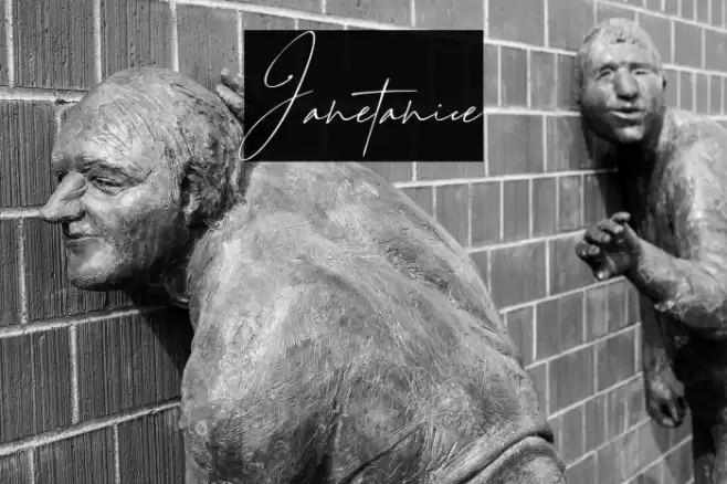 Janetanice Font examples