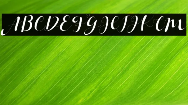 Janetha Hasley Italic Example 2