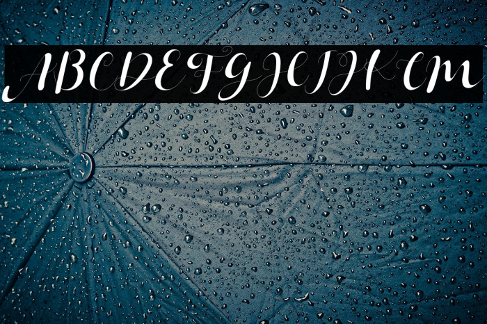 Janetha Hasley Italic Example 3