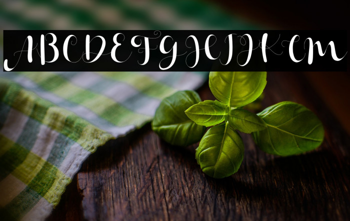 Janetha Hasley Example 1