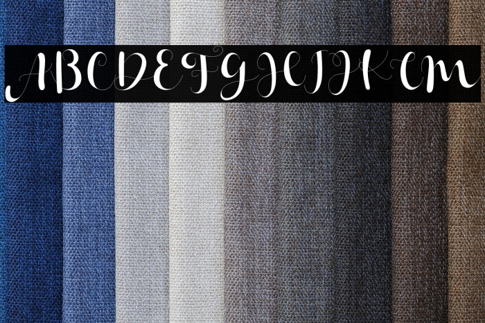 Janetha Hasley Example 2