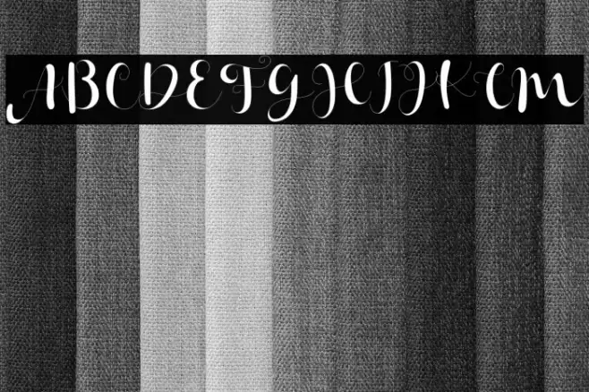 Janetha Hasley Font examples