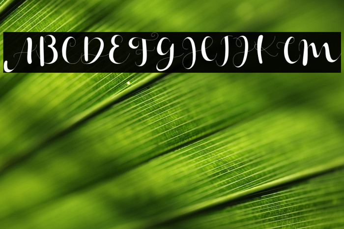 Janetha Hasley Example 3