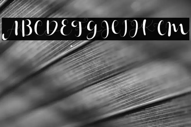 Janetha Hasley Font examples