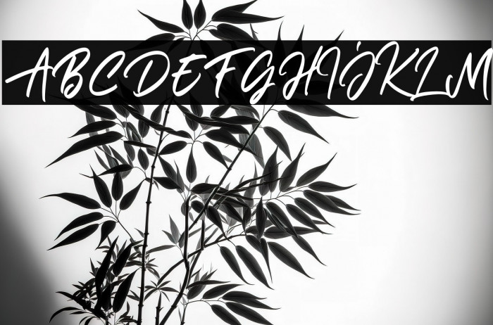 Janetta Rossie Solid Example 3