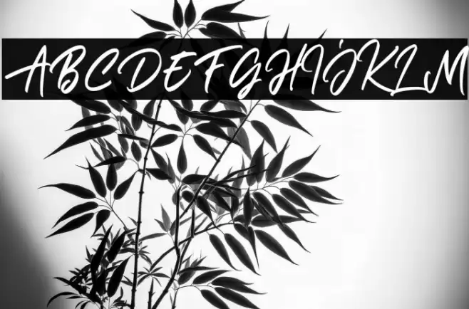 Janetta Rossie Solid Font examples