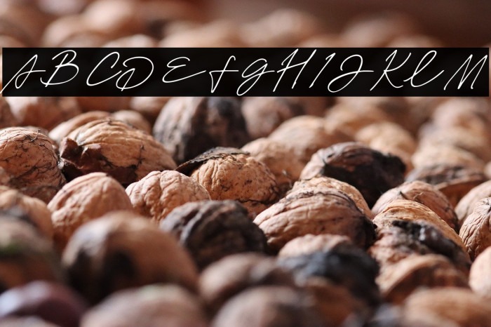 Janetta Silloam Example 1