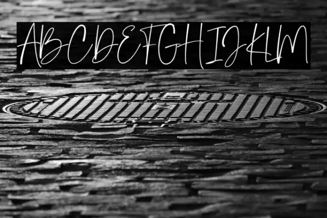 JanettaSignature Fuentes examples