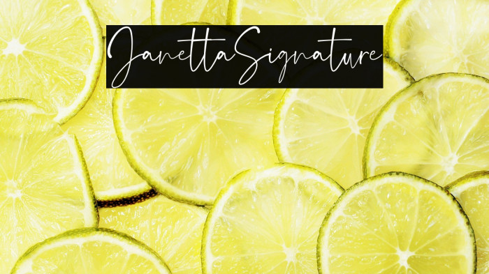 JanettaSignature Example 2