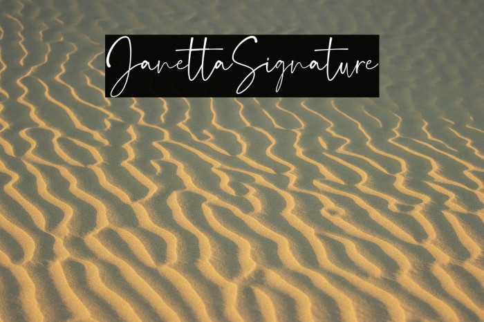 JanettaSignature Example 3