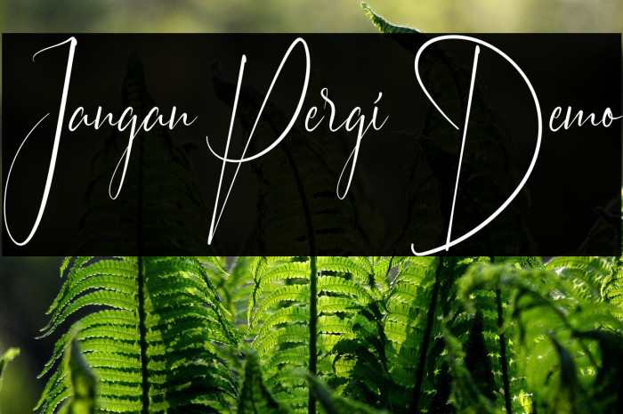 Jangan Pergi Demo Example 3