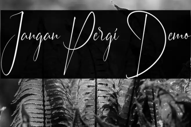 Jangan Pergi Demo Schriftart examples