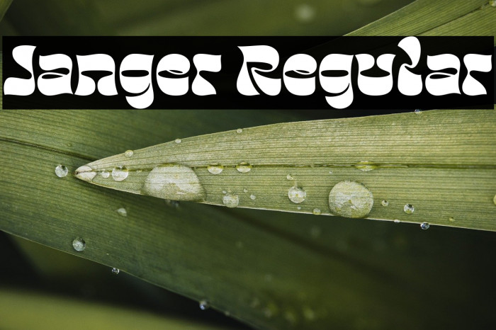 Janger Regular Example 1