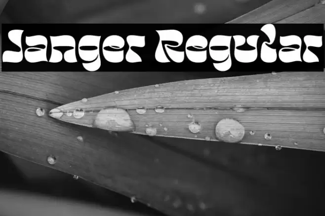 Janger Regular Font examples