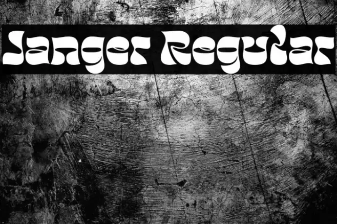 Janger Regular Font examples