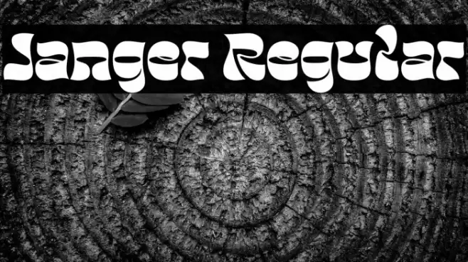Janger Regular Font examples