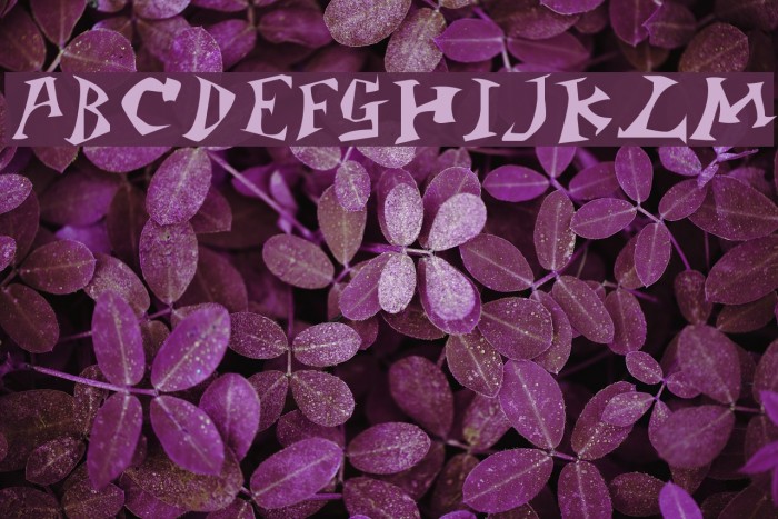 Jangly Bounce Font examples