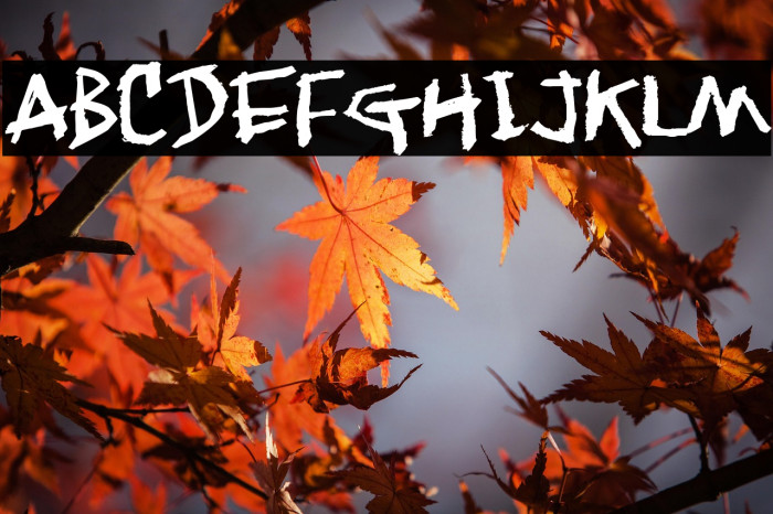 Jangly walk Example 2