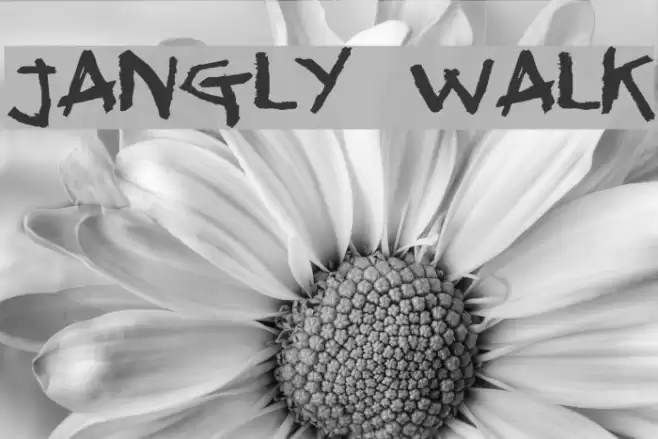 Jangly walk Font examples