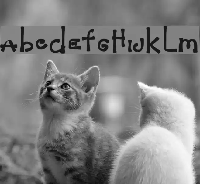 JanglyChief Font examples