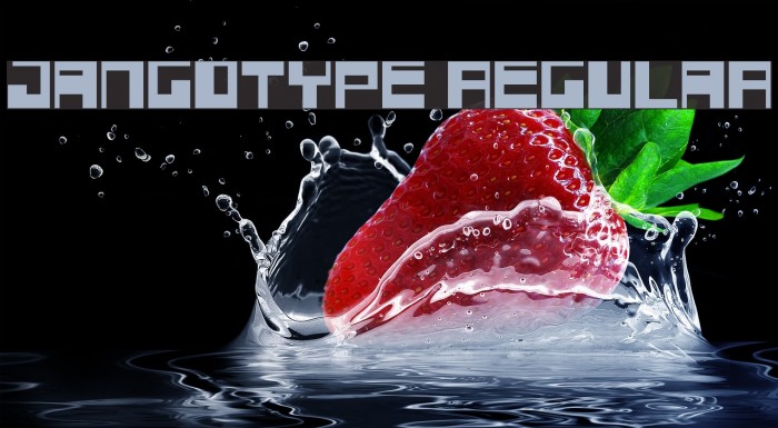 Jangotype Regular Font examples
