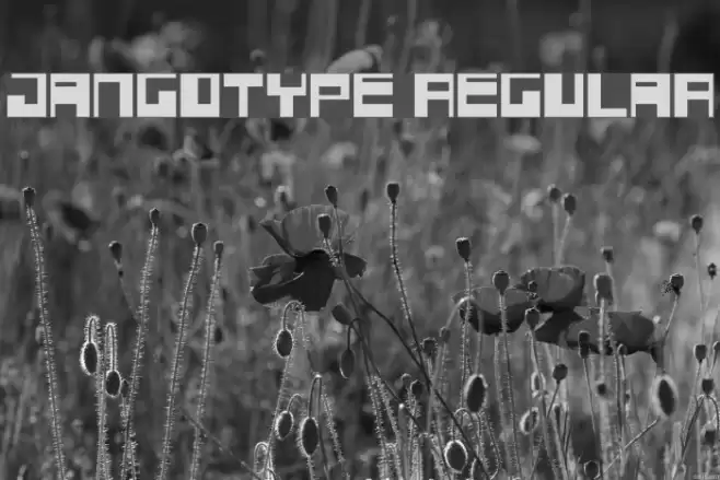 Jangotype Regular Font examples