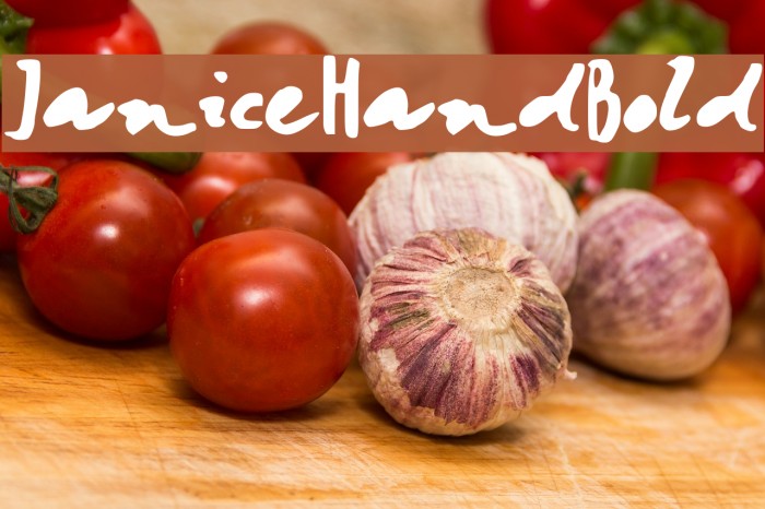 JaniceHandBold Font examples