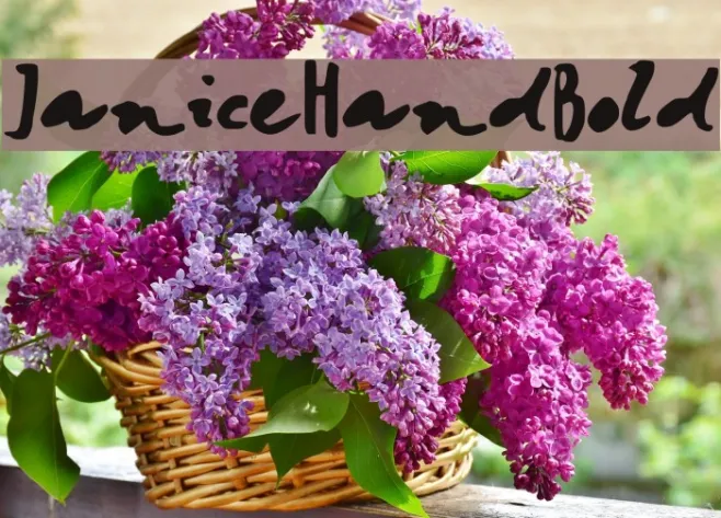 JaniceHandBold Example 3