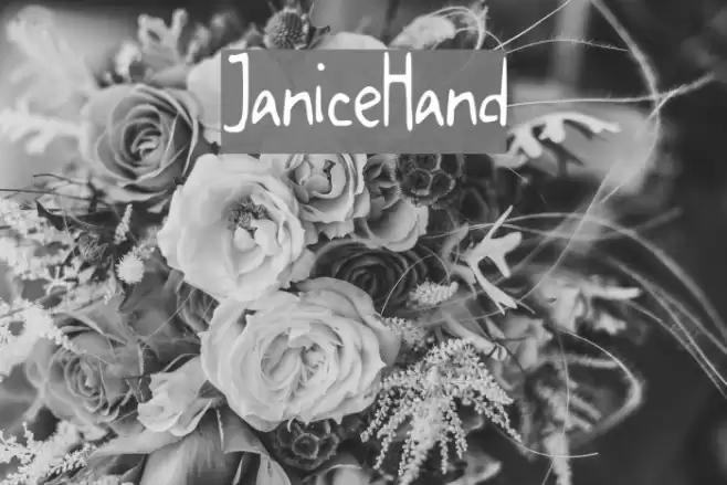 JaniceHand Font examples